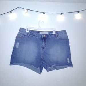 Mossimo Denim Distressed Cut Off Jean Shorts